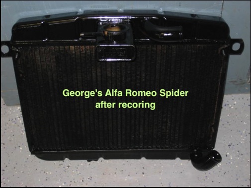 IMG_2066_kygeorgespider